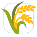 Moshavim / kibbutzim only